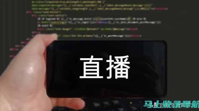 SEO源代码实战指南：掌握提升网站流量的秘诀